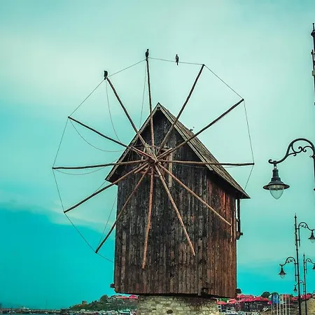 Rosa Marina 内塞伯尔