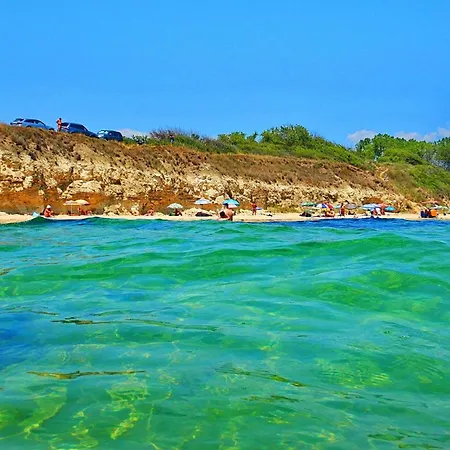 Rosa Marina * 内塞伯尔